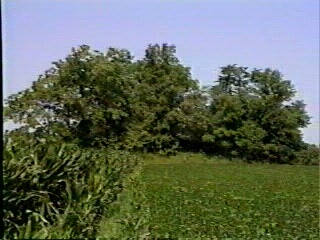  Sparrow Creek  Cemetery, White River Township, Randolph Co., IN   